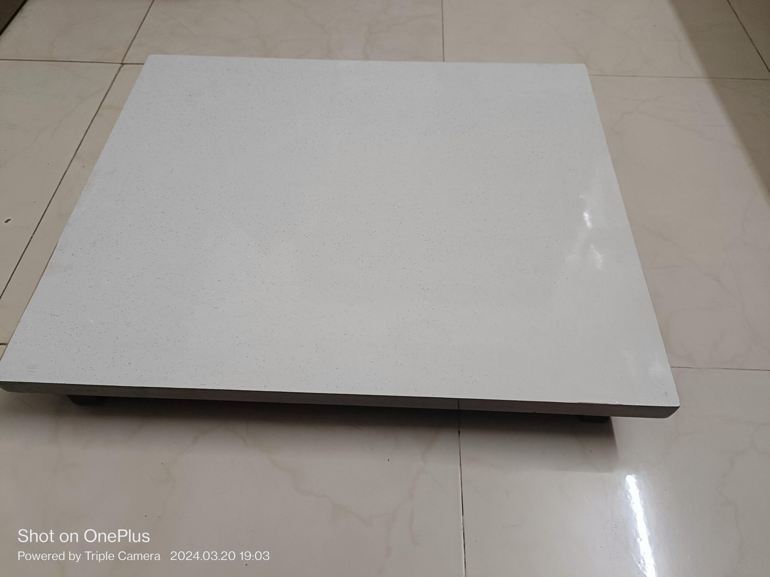 Patla (white) – 1