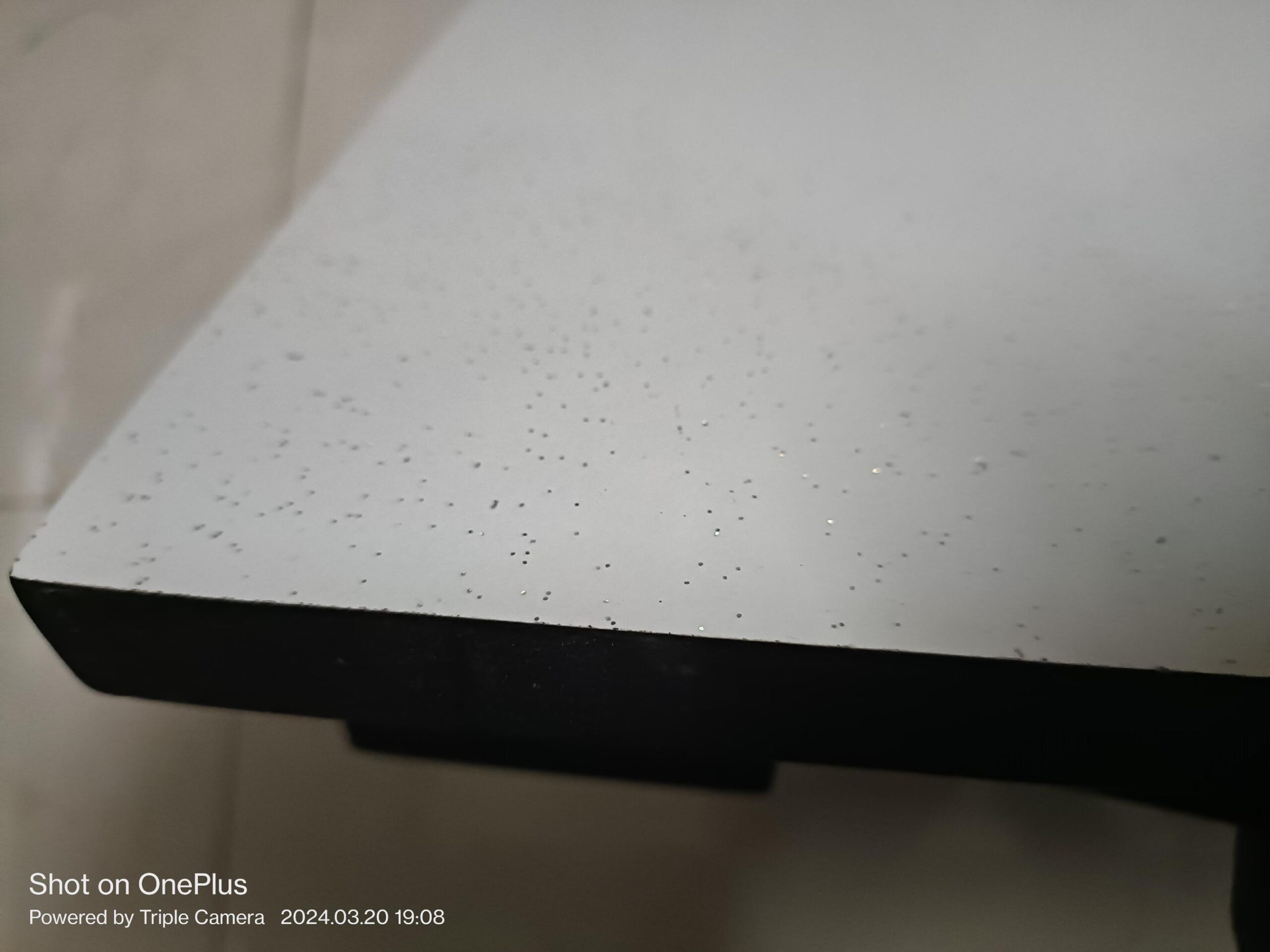 Patla (white) – 2